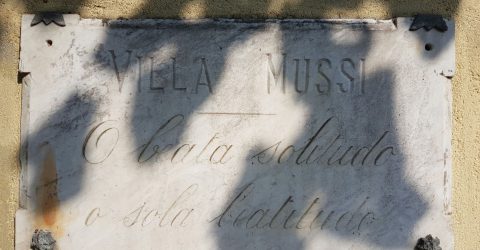 Villa Mussi